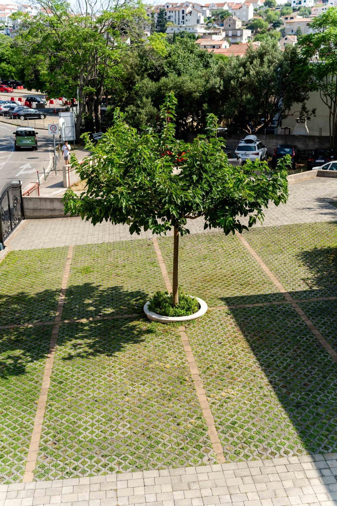 Apartamento Kogo
