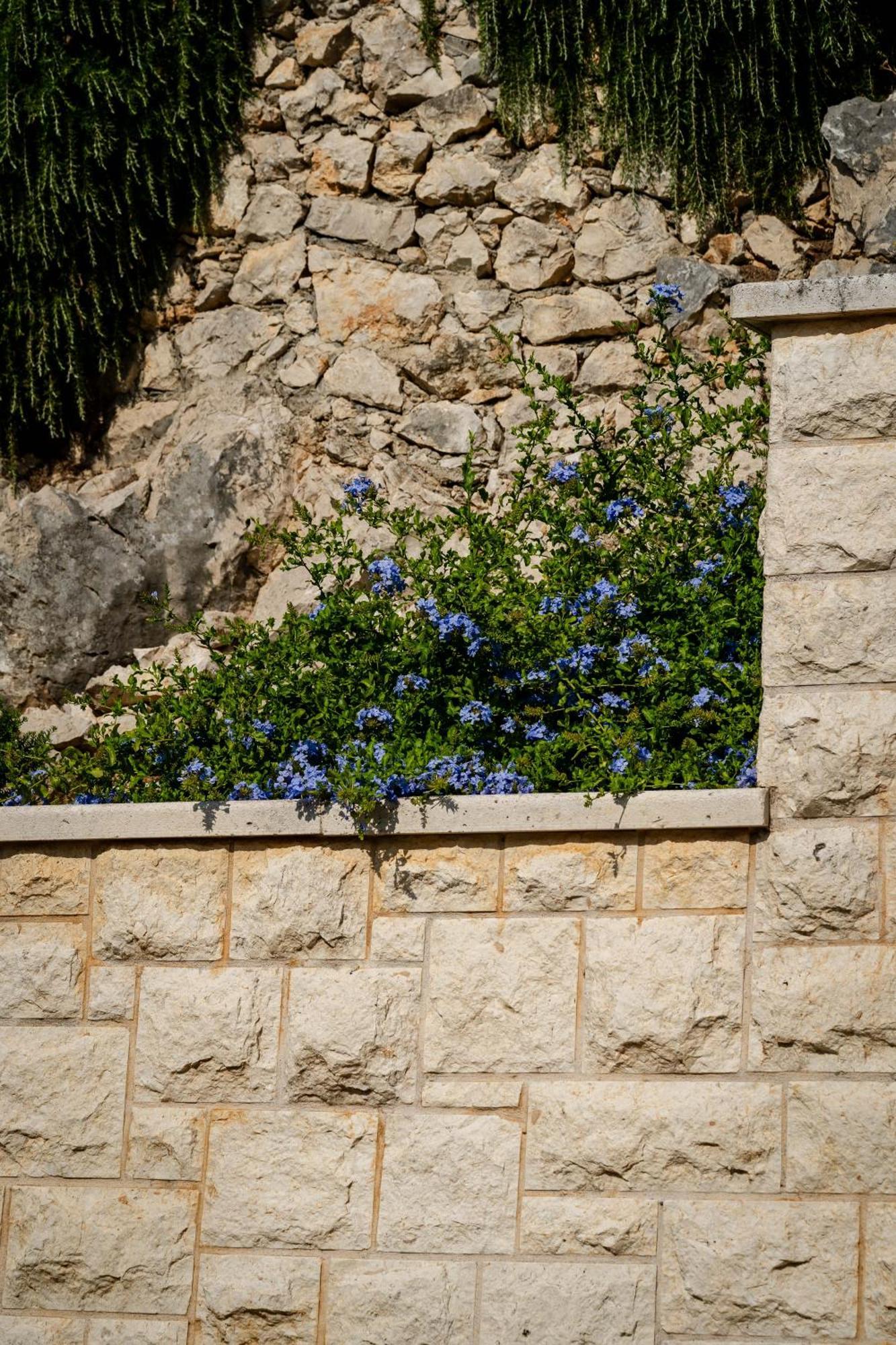 Kogo Hvar Town